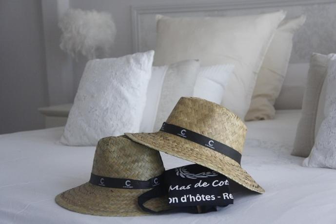 Guesthouse Le Mas De 코티냑 외부 사진